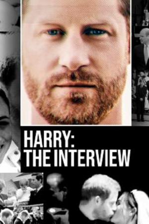 Harry The Interview (2023)