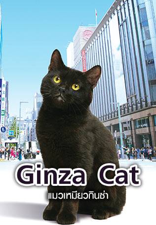 GINZA CAT (2021)แมวเหมียวกินซ่า